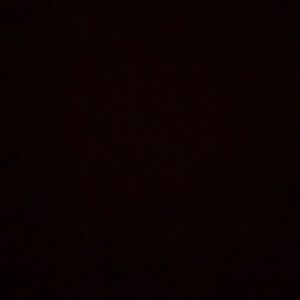 Meet your Posher, Talia